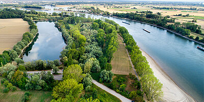 Resilience Expo: Weltweit erste Ausstellung zur Klimaanpassung startet im Rheinischen Revier