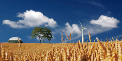 Bioökonomie als Lösungsweg für die Ernährungs- und Energiekrise 