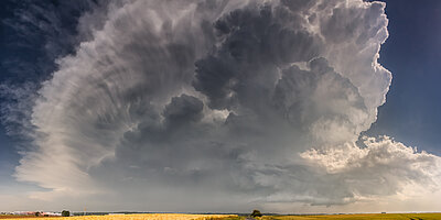 Mehr klimaresiliente Lösungen für Unternehmen