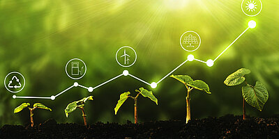 Innovation und Nachhaltigkeit Hand in Hand